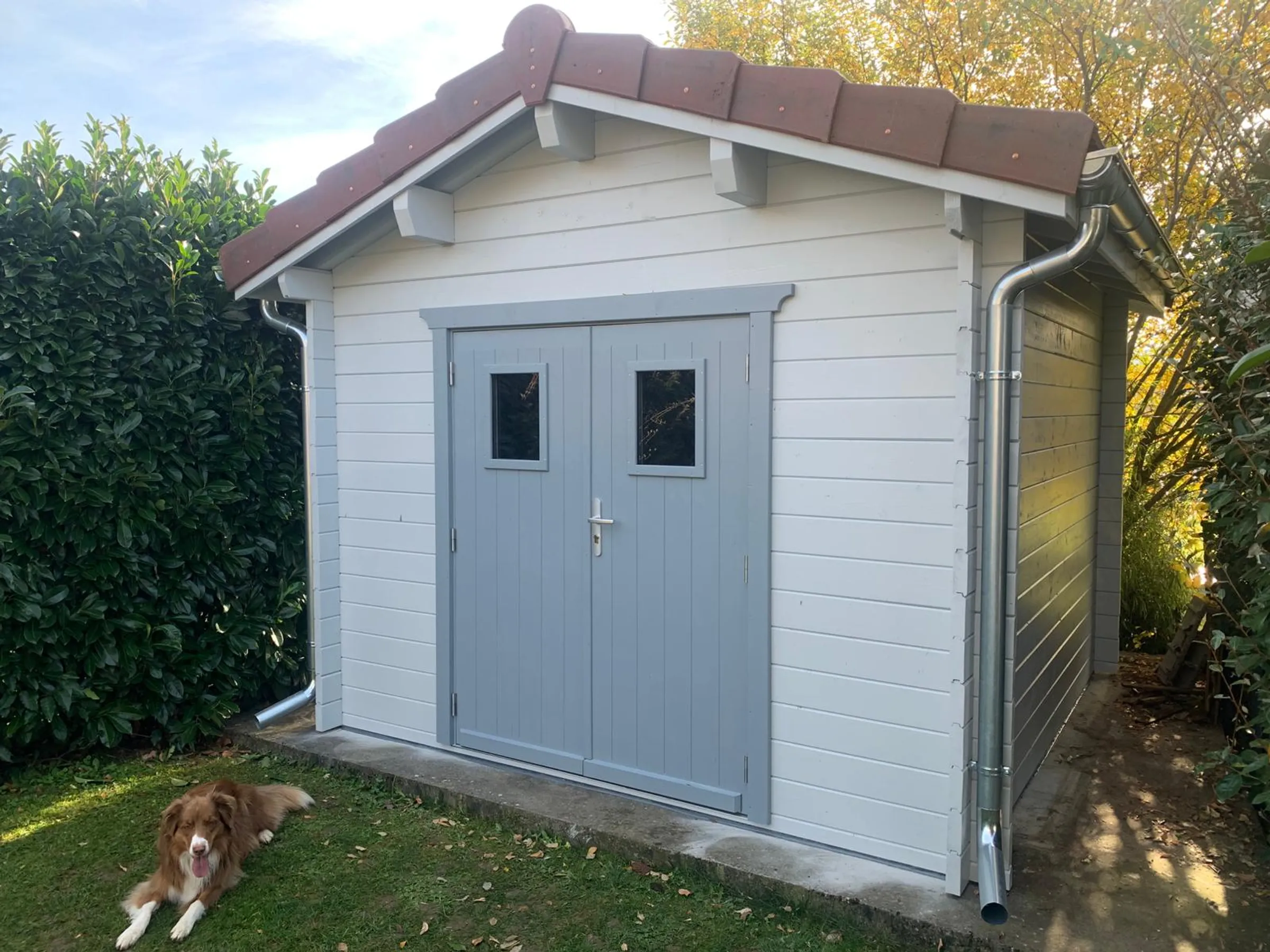 abri jardin 3x3